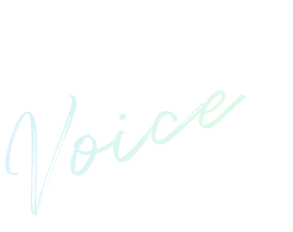 Voiceお客様の声